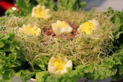 Salad Green Bean Sprout - Salad Rau Mầm