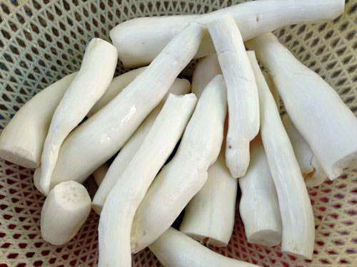 Steamed Cassava Soft Worm Cakes